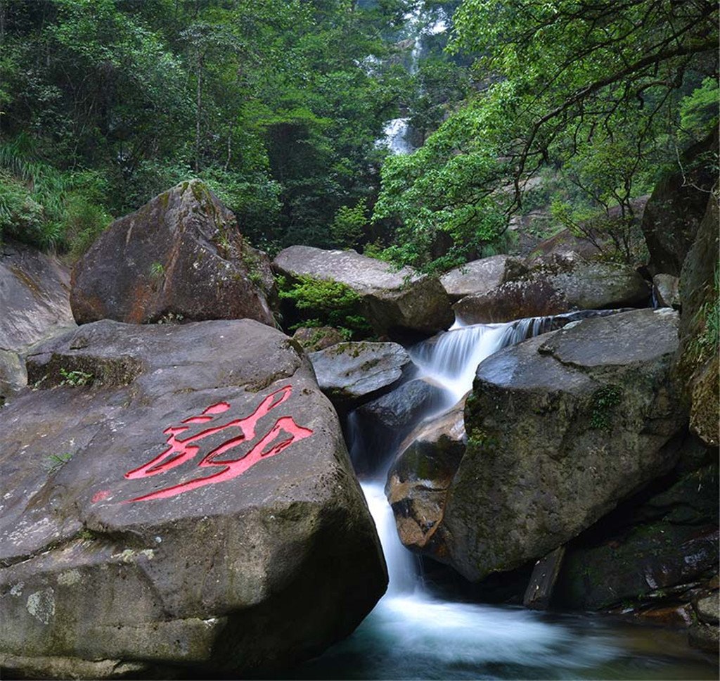 【漫步高山茶谷】探索【桐木关/三岗戏猴/红茶界碑】→探秘【桃