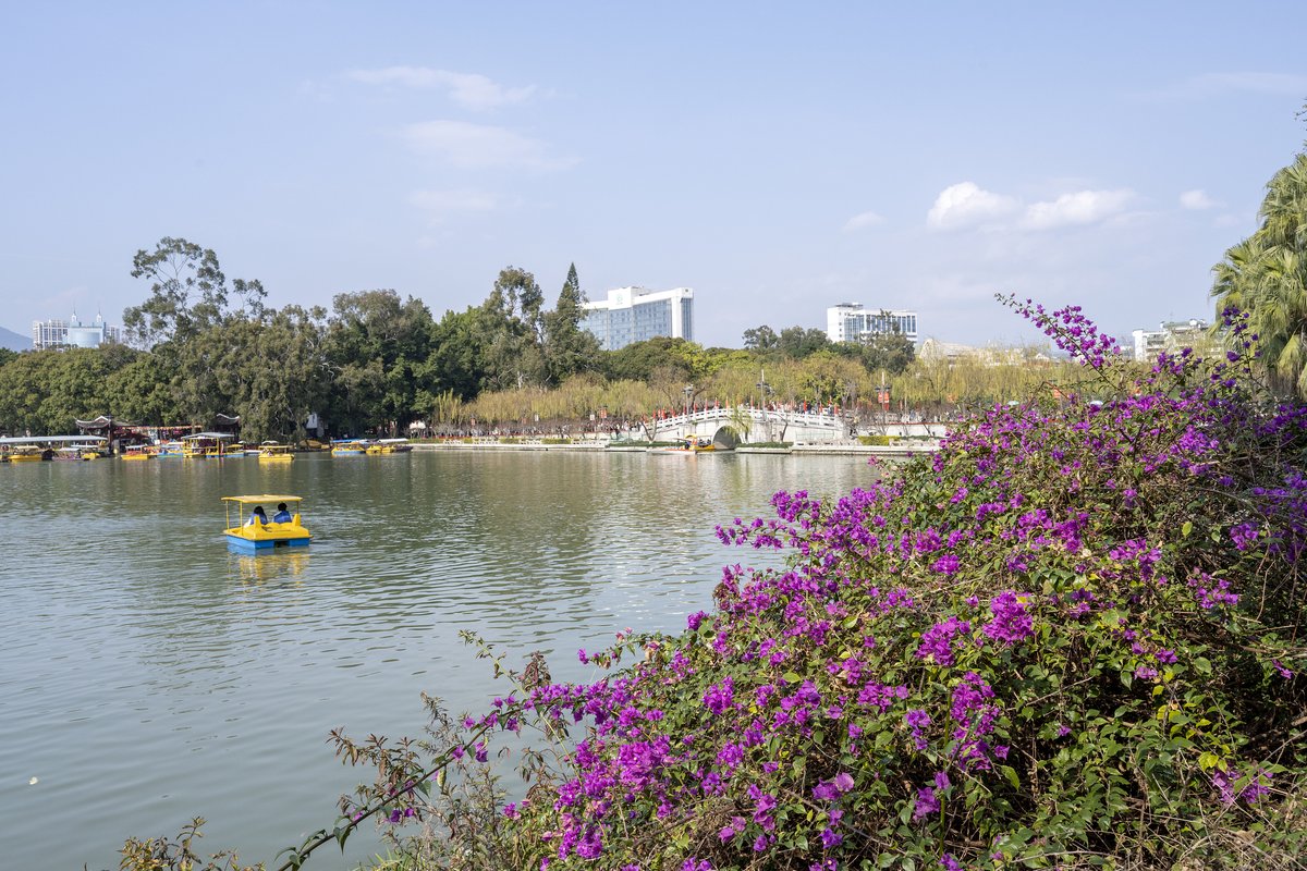 离别茉莉城自由活动【推荐前往：上下杭/福州西湖公园/左海公园
