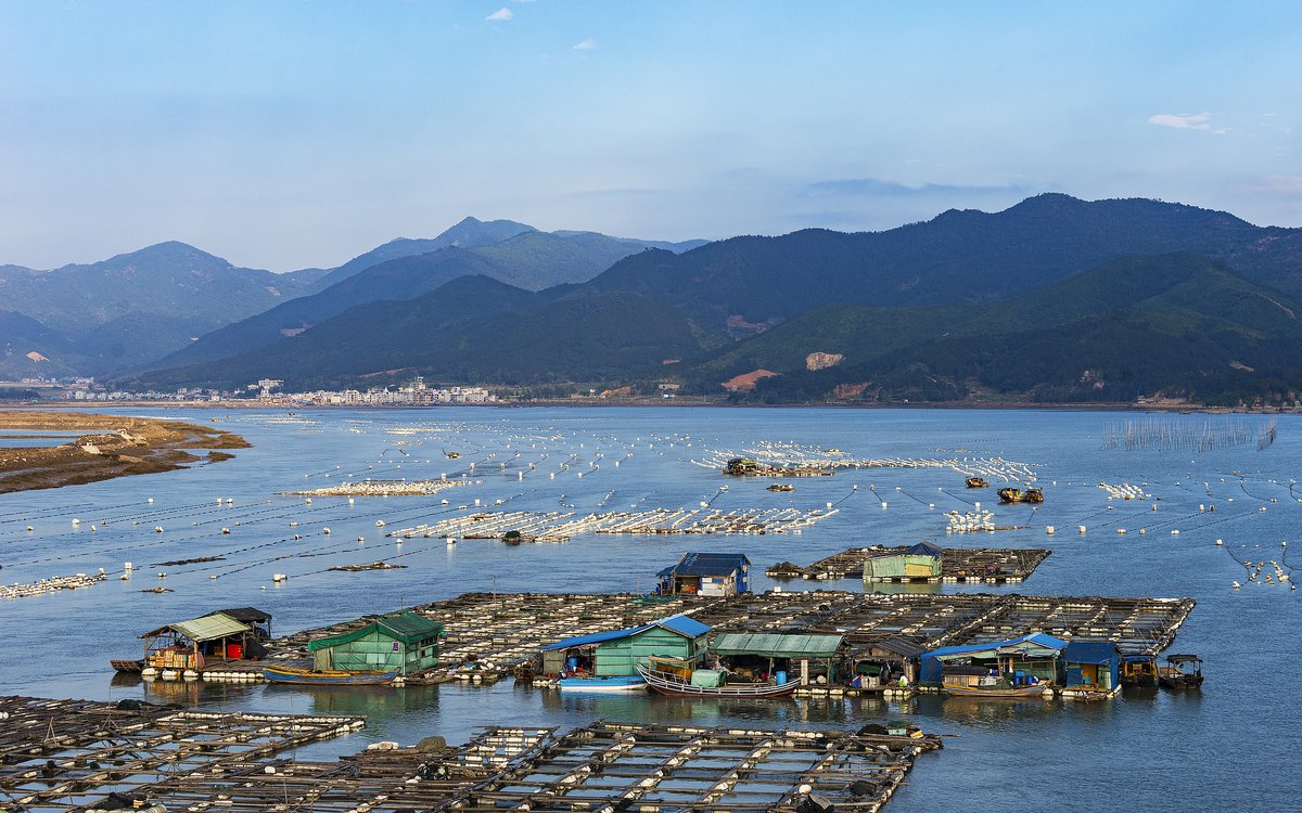 结伴拼车走西线：【北岐滩涂观日出】+【水墨丹青&海上渔晖】奥