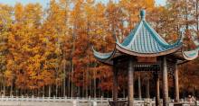 福州+泉州5日4晚拼小团·闽都遇刺桐｜福州泉州五天四晚 寻访坊巷古韵，漫游世遗泉州