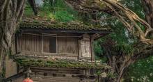 鼓浪屿+云水谣+厦门+漳州5日4晚自由行｜土楼之光文化园+和贵楼
