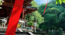 武夷山主景+九曲溪竹筏漂流4日3晚跟团游·【 趣武夷超值跟团·8人VIP精致小团】九曲溪畔泛舟.天游峰顶揽云~观印象大红袍表演『含2正高标餐+赠山景茶歇』精选4钻精品酒店 咨询下单有优惠