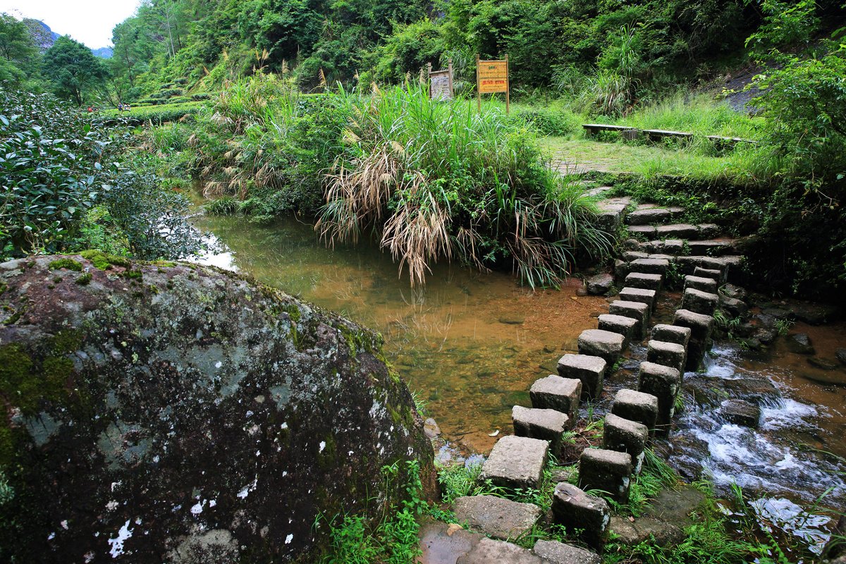 【山水探秘·岩骨寻香 】大红袍景区-一线天景点【回程】