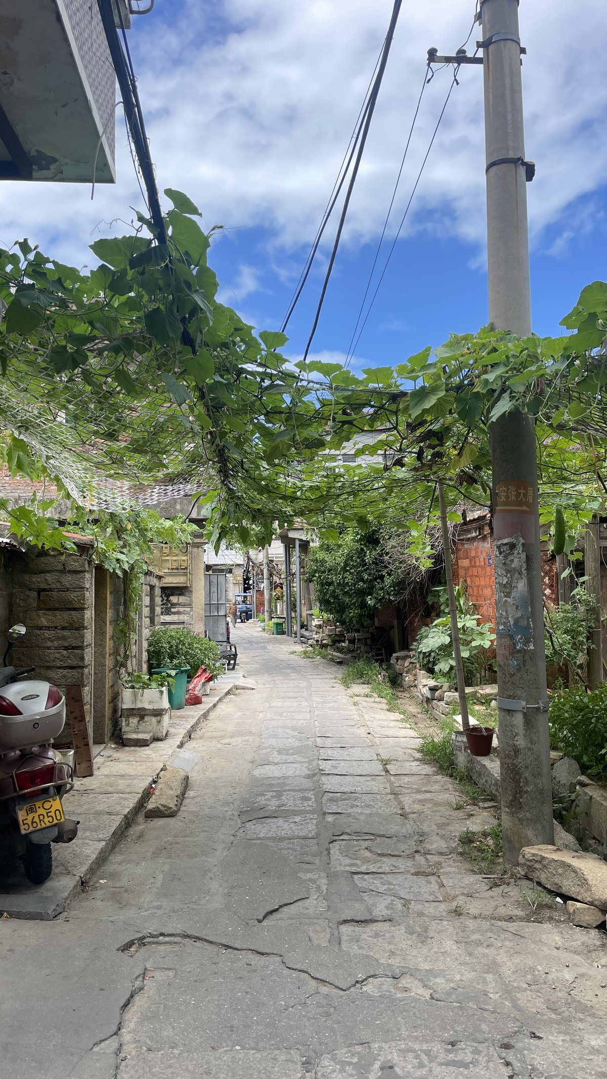 【惠女风情】小岞风车岛—惠女林场—大岞惠女风情园—崇武古城—