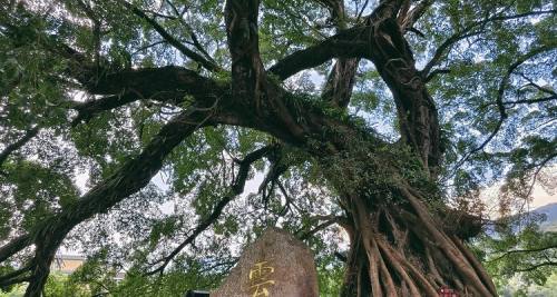 鼓浪屿+厦门+泉州+漳州7日6晚自由行｜沙坡尾艺术西区+港仔后沙滩