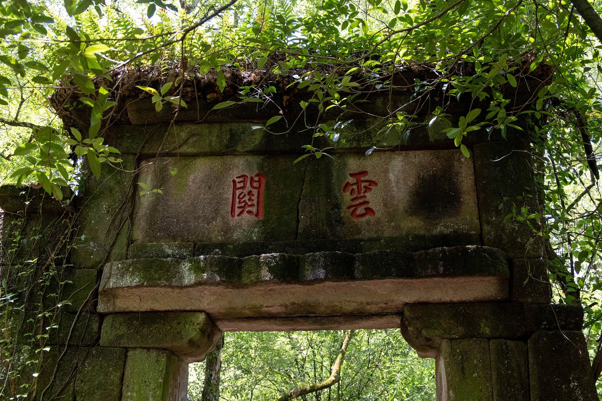 【品质12小团】抵达武夷山-『专车接送』送您前往度假5钻酒店