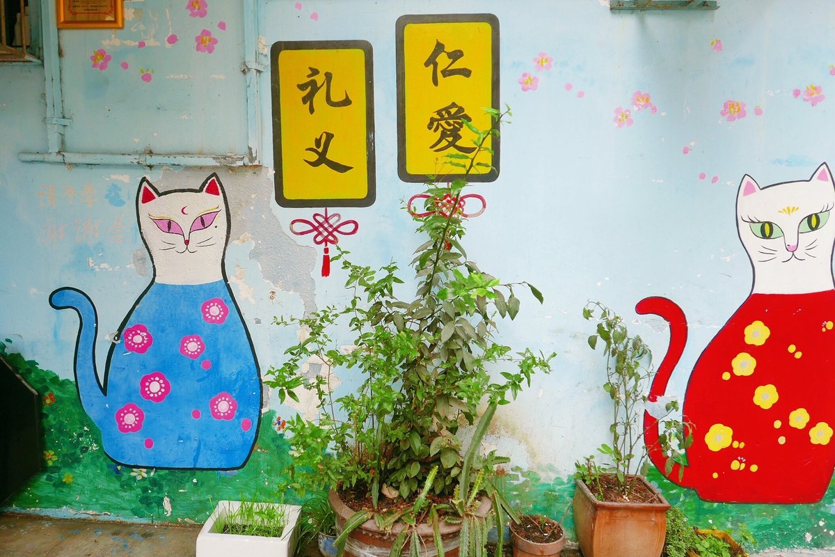 No morning calls 厦门一日自由行