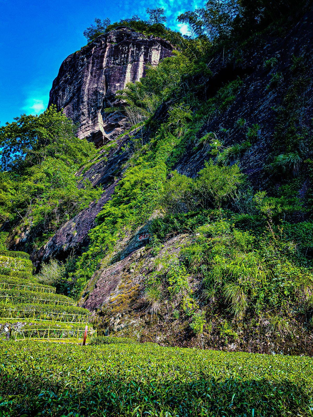 【山水探秘·岩骨寻香 】大红袍景区-一线天景点【回程】