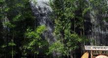 福建福州+平潭岛3日2晚自由行·【虎纠欢迎你3】首日平潭六十八海里+龙王头沙滩+次日林则徐纪念馆+6人以下1小时中文人工讲解（9点30分场次）+三坊七巷的爱心树+严复故居+尾日鼓山+十八景园【不含用车+赠送取消险】