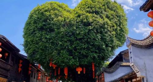 历史人文 ·三坊七巷街区2.5H深度讲解亲子营·成人/儿童·金牌导游博物馆线下高端精讲品牌·探访明清建筑中的“福”文化·上下午场可选·12人团