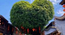 历史人文 ·三坊七巷街区2.5H深度讲解亲子营·成人/儿童·金牌导游博物馆线下高端精讲品牌·探访明清建筑中的“福”文化·上下午场可选·12人团