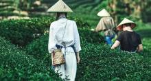 武夷山主景+九曲溪漂流3日2晚拼小团·暑期热卖95折·5星山景房「8人拼小团」升级印象贵宾B席+保证竹筏票+2份高品餐+专业旅拍+往返高铁