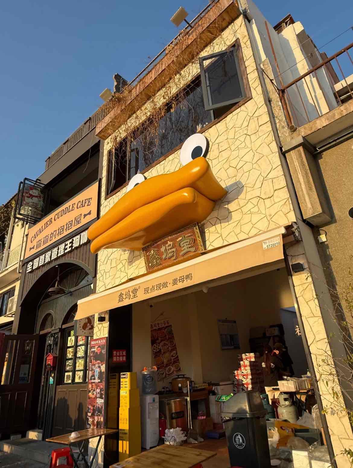 【厦门市区专职导游带团】“鹭岛”迎风踏浪—扬帆出海—环岛路漫