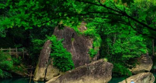 武夷山国家公园+天游峰+武夷山九曲溪3日2晚拼小团·【慢步悠心.寄情山水】8人小团+3特色餐+登天游.乘九曲漂流“曲曲山回转.峰峰水抱流“2赏千年母树大红袍与玉女峰 .山水之灵【赠夏季特饮围炉冰茶+非遗茶百戏】