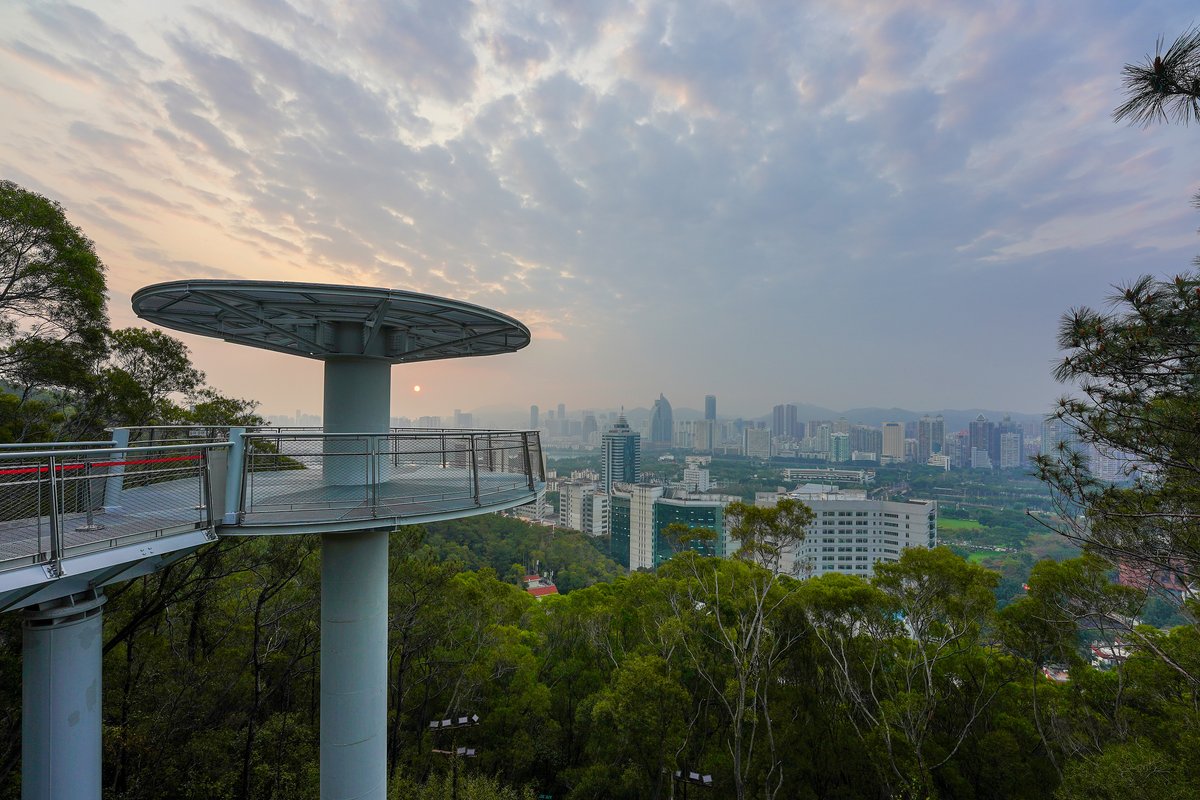 市区9人小团：跟着榜单打卡—超热仙境植物园（美爆朋友圈）热榜