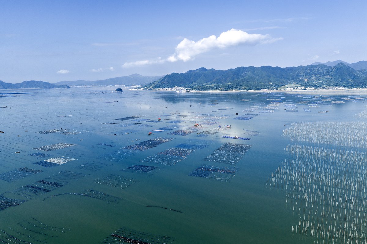 当地向导带@走西南线【看五彩斑斓的海】沙江S湾高罗海滩网红东