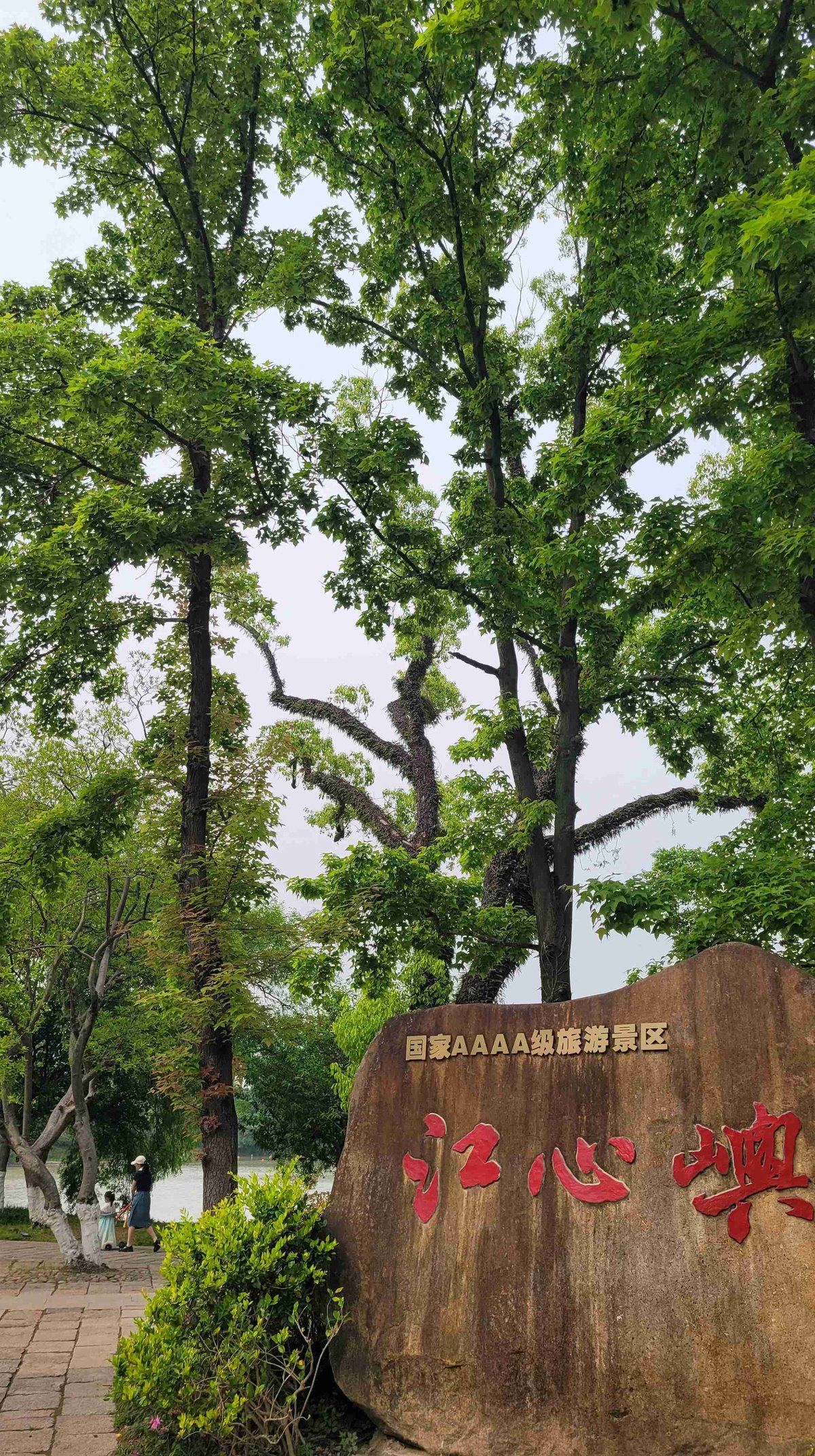 温州→返程 自由活动【推荐行程：江心屿/温州动物园/温州极地