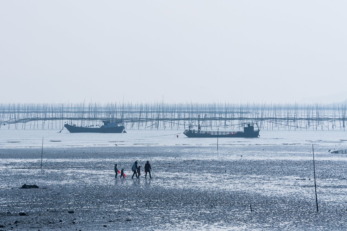 行摄霞浦(北线)：【追光逐影的快门之旅】北岐滩涂观日出“海上