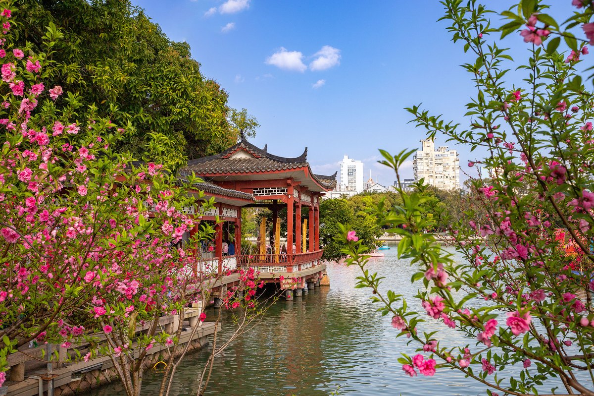 离别茉莉城自由活动【推荐前往：上下杭/福州西湖公园/左海公园