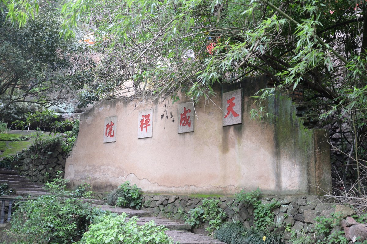 【满载而归】玉女峰——虎啸岩——一线天——【赠】时令采茶制茶