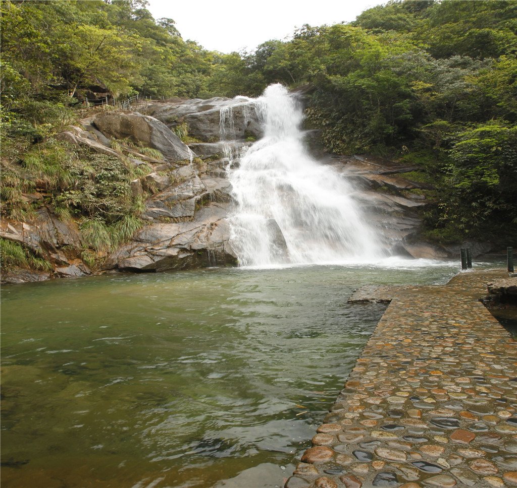 【漫步高山茶谷】探索【桐木关/三岗戏猴/红茶界碑】→探秘【桃