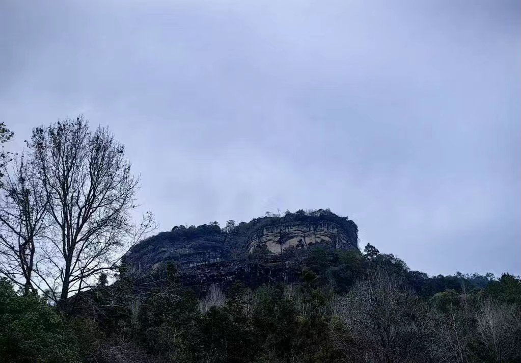 【初识武夷·岩骨寻香】抵达武夷山→入住人气5钻酒店→三姑老街
