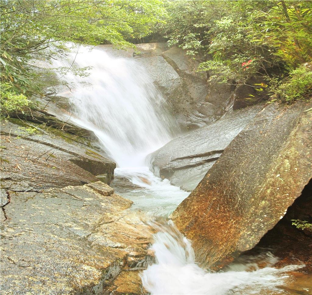 【漫步高山茶谷】探索【桐木关/三岗戏猴/红茶界碑】→探秘【桃