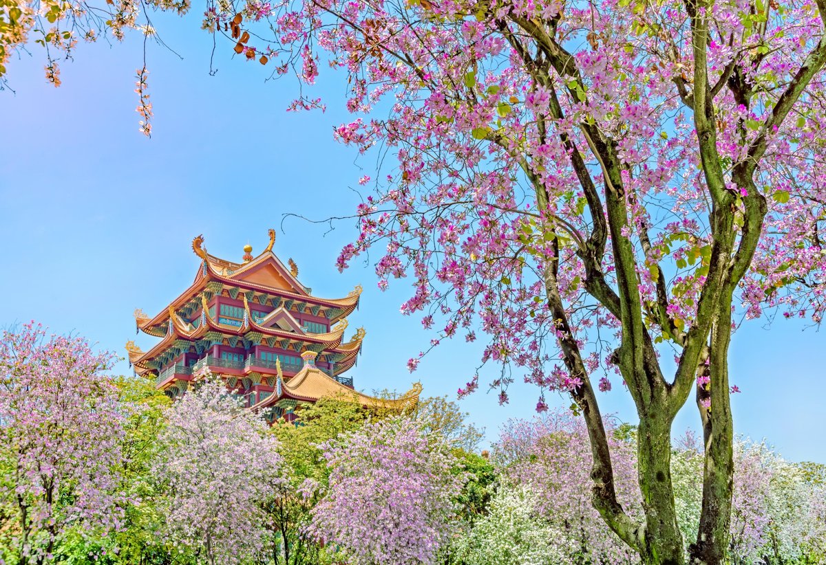抵达福州—1对1专车接机—入住酒店—自由活动【推荐前往：上下