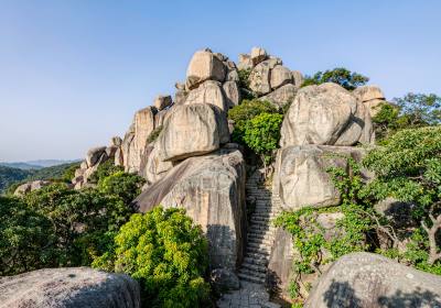 秋天去漳州赏花海、看土楼非遗手工要找旅行社吗？跨县交通与预约一次说清