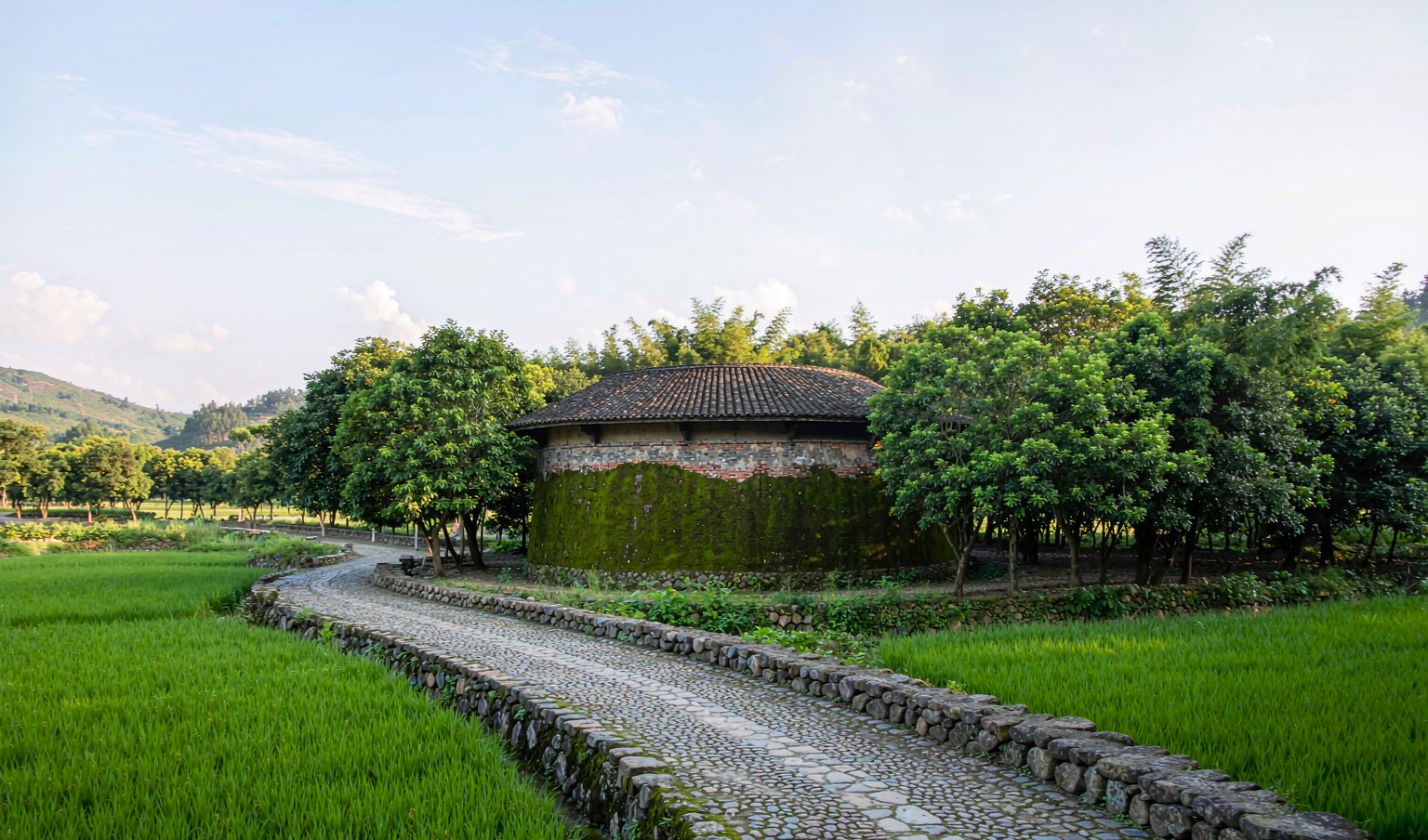 南靖云水谣古道的青石板路蜿蜒穿过稻田，尽头是圆形土楼
