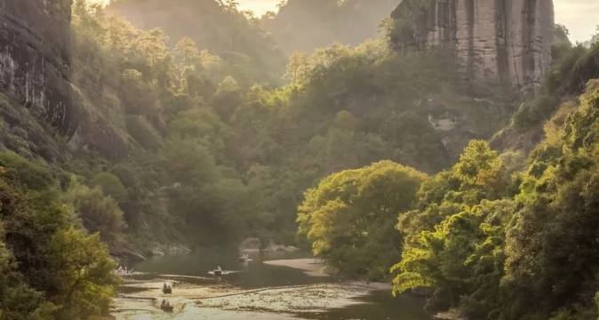 武夷山1天茶山英语讲解 · 九曲溪/大红袍 · 岩茶文化精讲