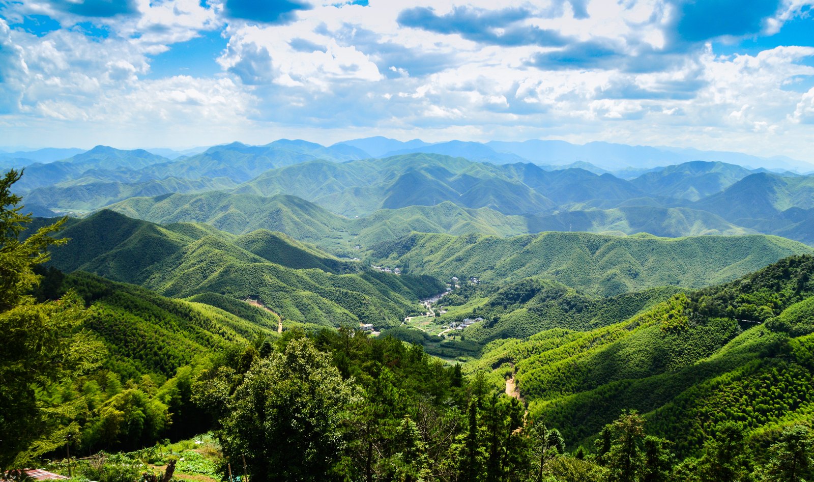 福州鼓山一带的群山林海，山脊层层叠叠延伸到远处