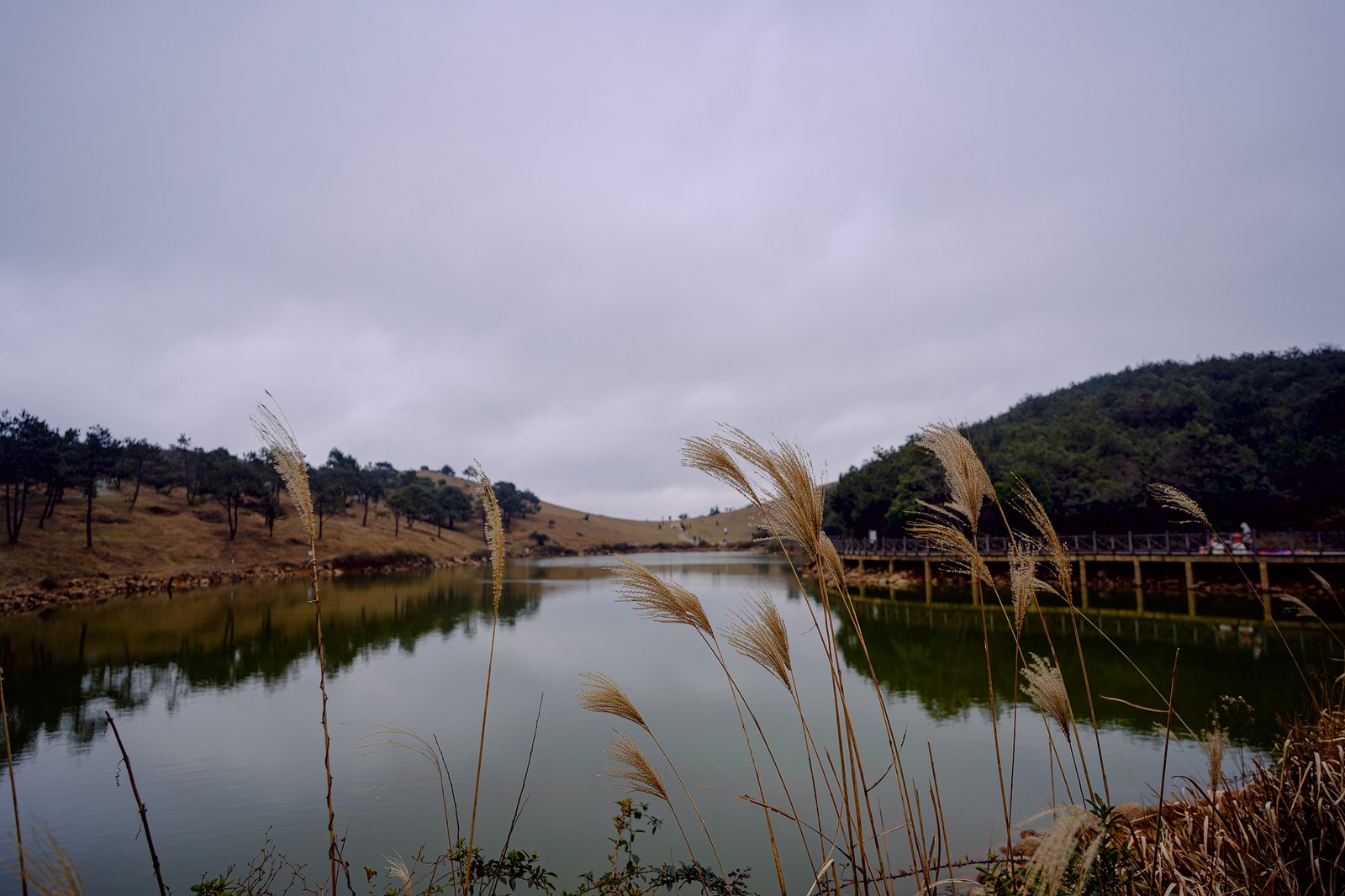 福州永泰青云山高山湖泊与芦苇，秋日晨雾