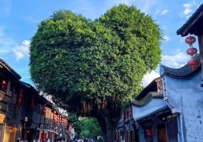福州旅游套餐怎么选才实惠？找旅行社核价与行程安排的实用指南