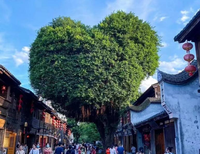 福州旅游套餐怎么选才实惠？找旅行社核价与行程安排的实用指南