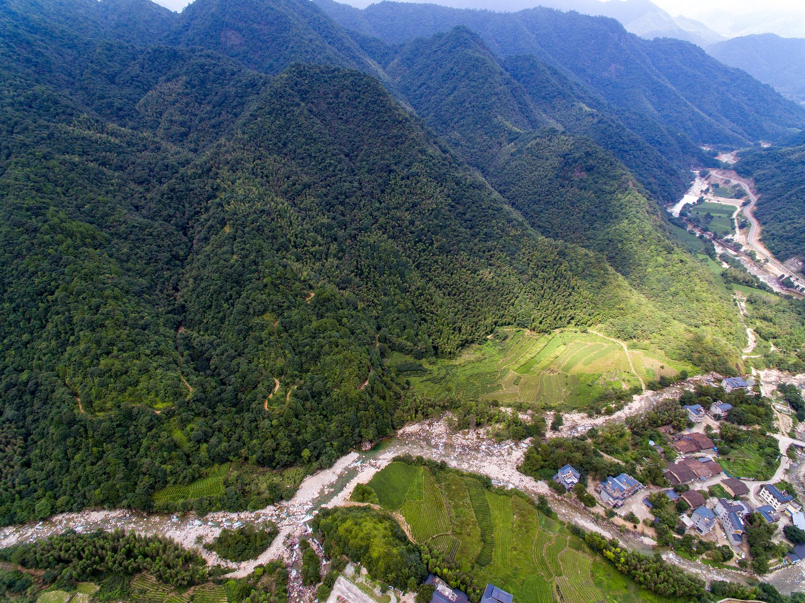 武夷山岩壁下的溪谷与成片生态茶园