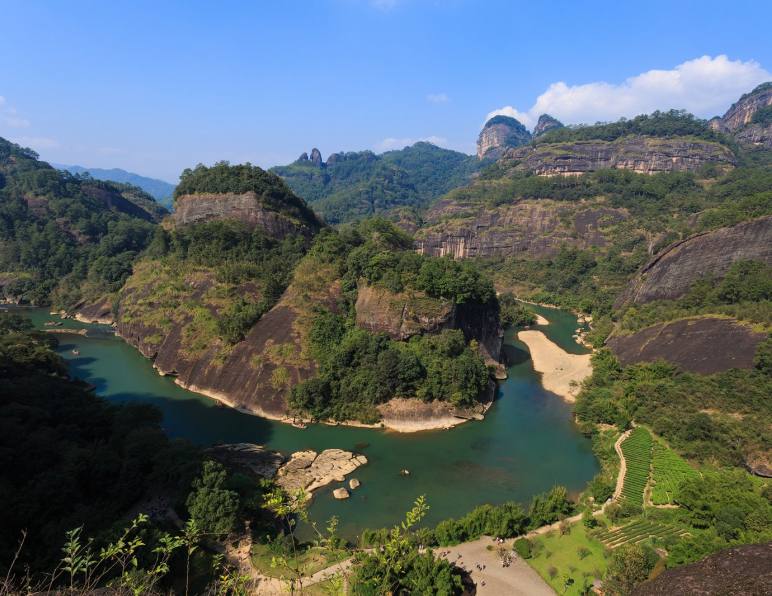 秋假带孩子去武夷山研学，旅行社怎么把免票和茶庄园排进四天