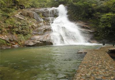 秋天去武夷山寻红茶原产地要找旅行社吗？桐木关交通、斗茶赛与茶园预约一次说清