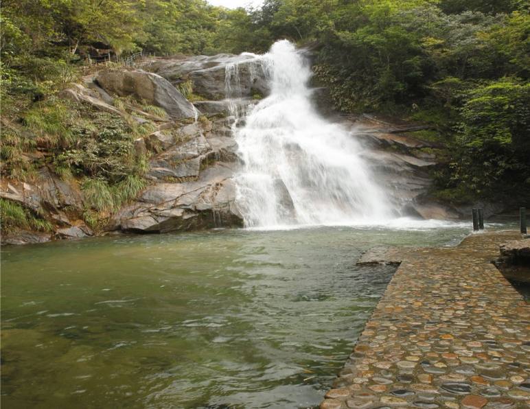 秋天去武夷山寻红茶原产地要找旅行社吗？桐木关交通、斗茶赛与茶园预约一次说清